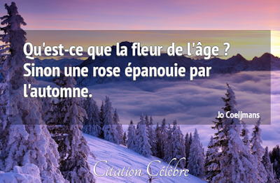 http://citation-celebre.leparisien.fr/citations/75886