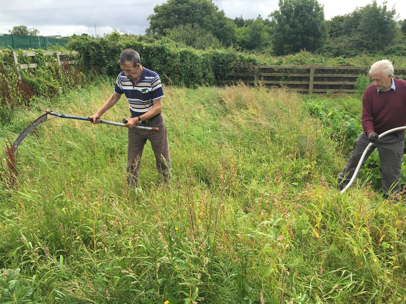Speedie's Blog Traditional Mowing of a Meadow the Return of the Scythe.
