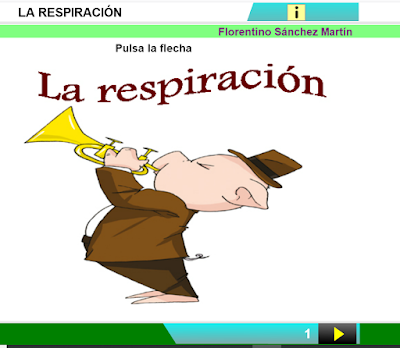 https://cplosangeles.educarex.es/web/edilim/curso_4/cmedio/la_nutricion/la_respiracion/la_respiracion.html