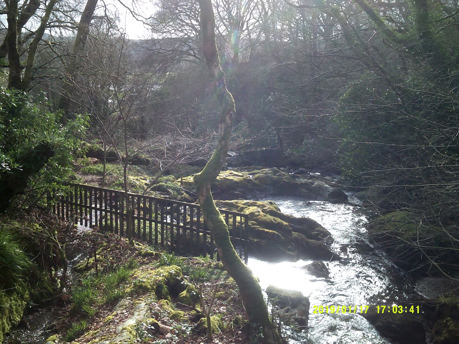 Day Trip to Colintraive