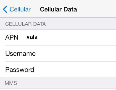 Vala GPRS 4G Settings for iPhone 4 4S 5 6 6S iPad