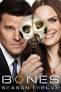 Bones Temporada 12 audio latino Bones Temporada 12 audio latino