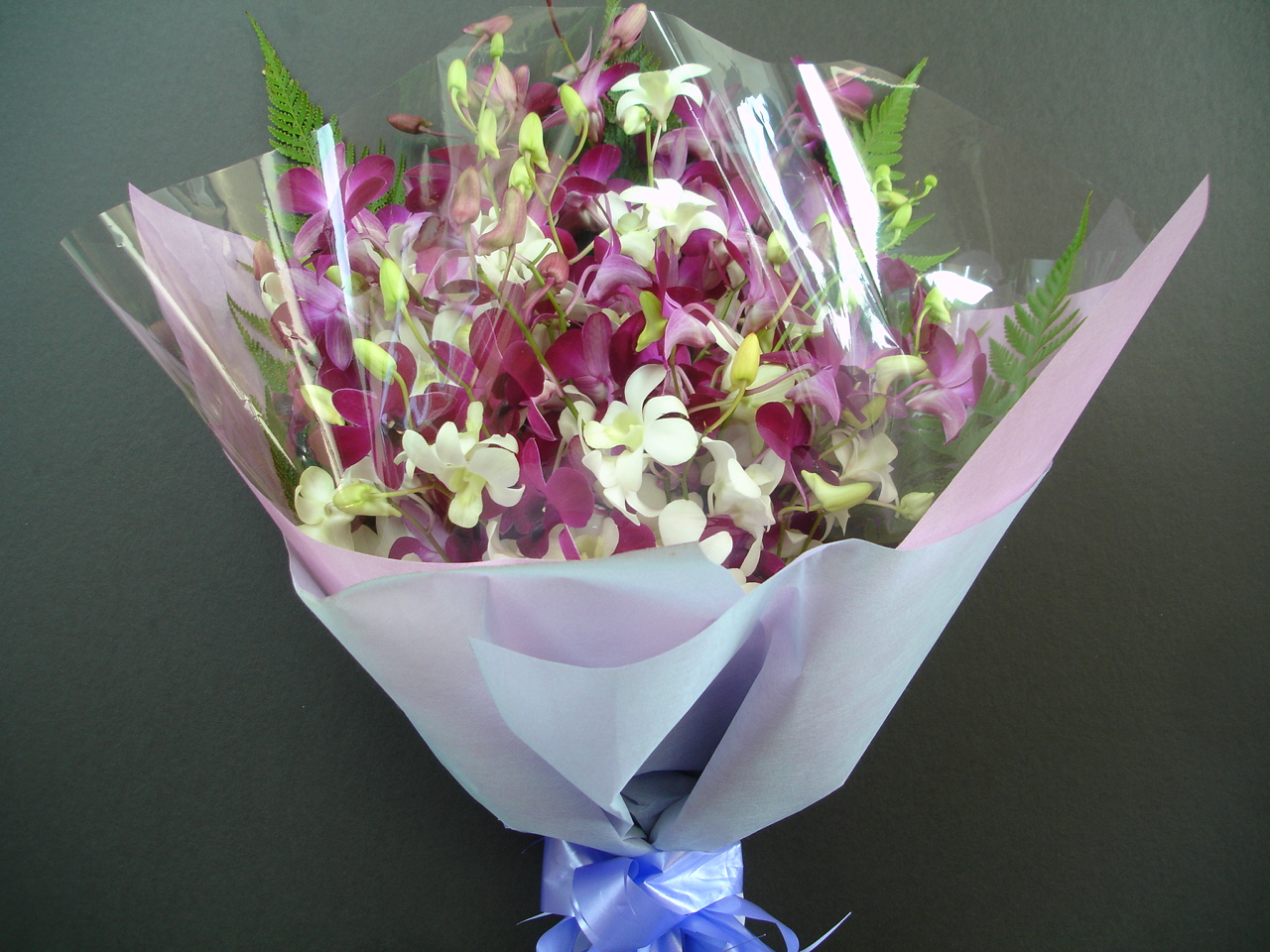 Hexagon Green Group The Various Meanings of Orchids