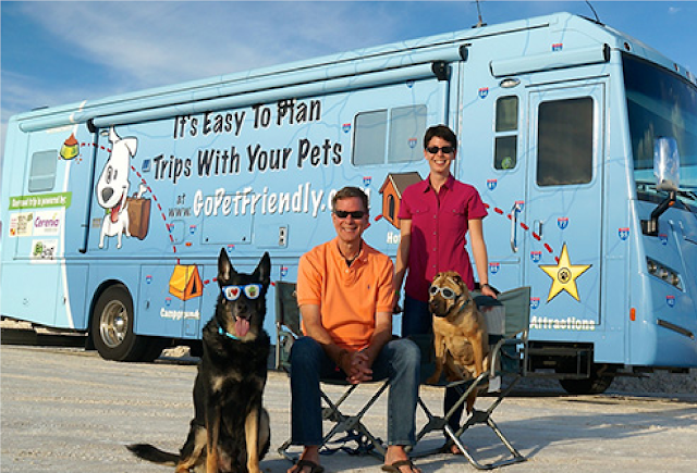 Is Your Pet Ready For the Big Road Trip? Preparing Your Pet Before Hitting the Road