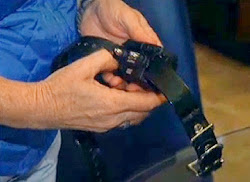 diana franklin chicken coop 3