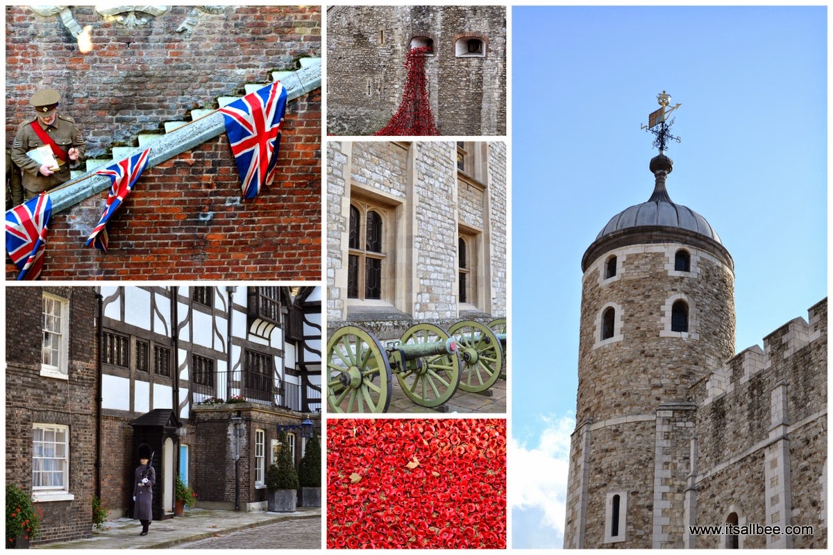 tower of london poppies | tower of london pictures