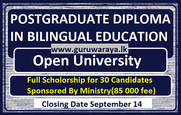 PGD in Bilingual Education (Open University)