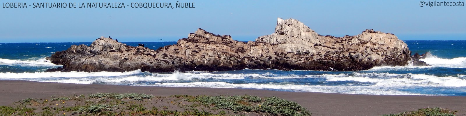 Vigilante Costero Maule Itata - Waterkeeper Chile: Todos Somos Cobquecura