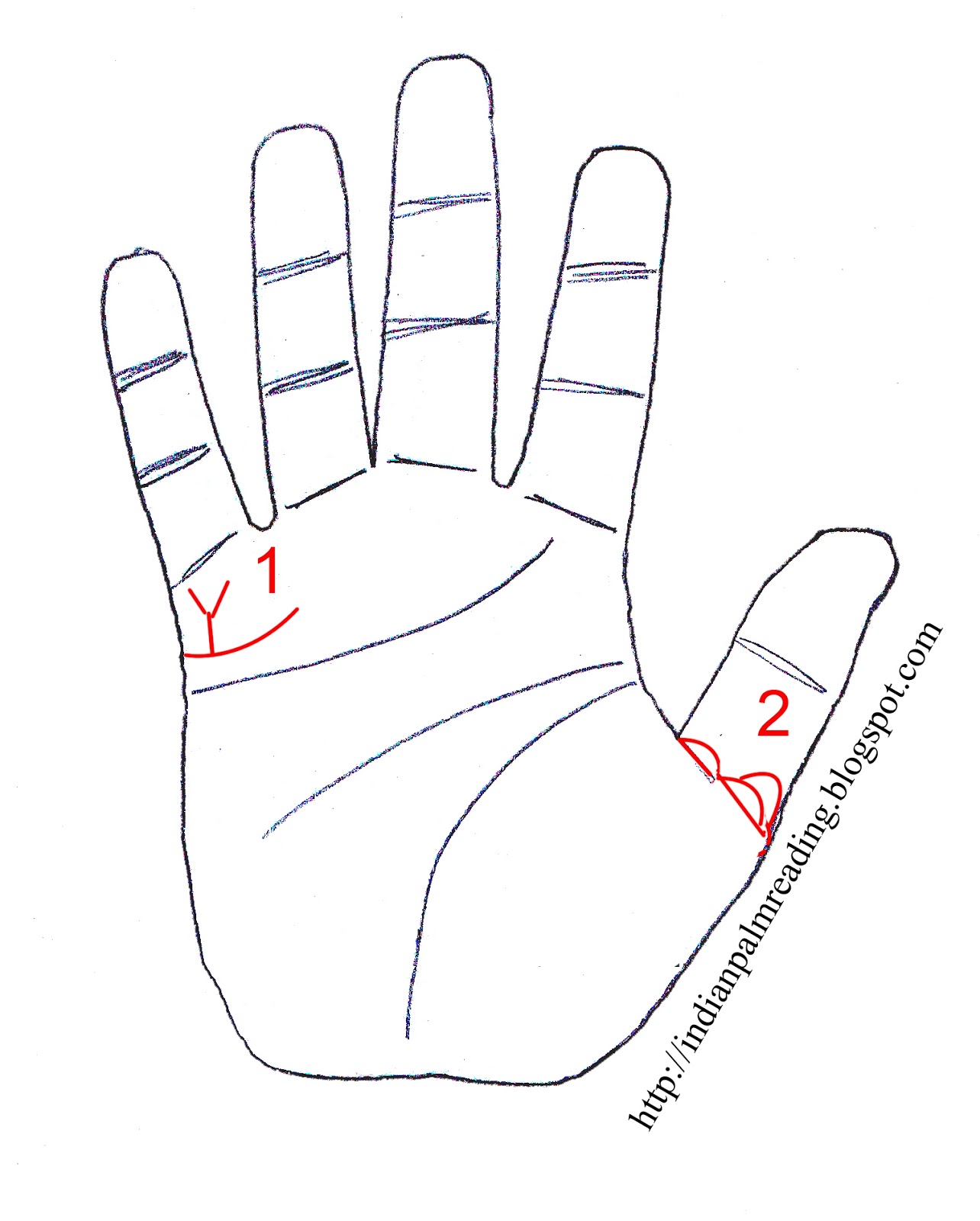 Your Hand Lines Indicates Twin Children Palmistry INDIAN PALMISTRY