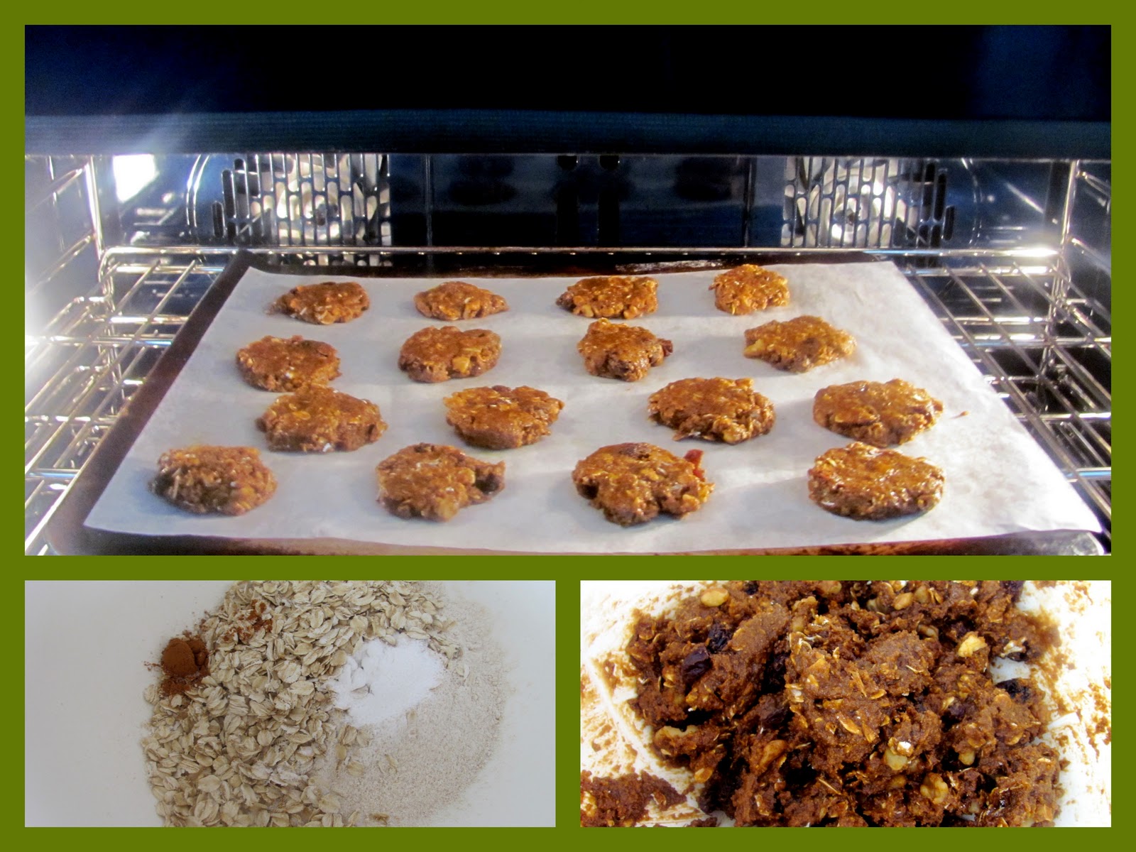 The Health Seekers Kitchen LowFat Whole Wheat Molasses Cookies
