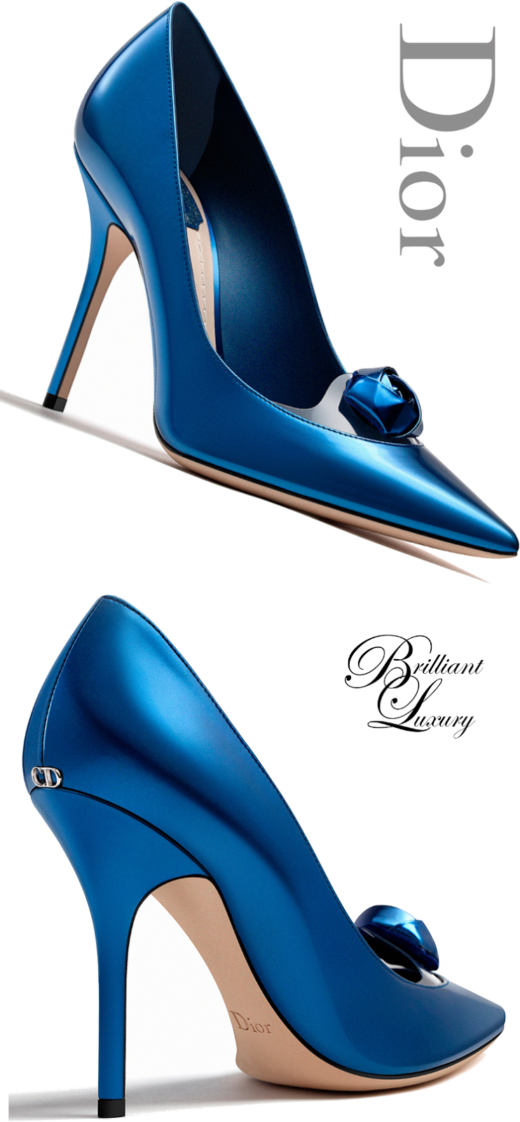 Brilliant Luxury ♦Dior High Heels Fall 201516