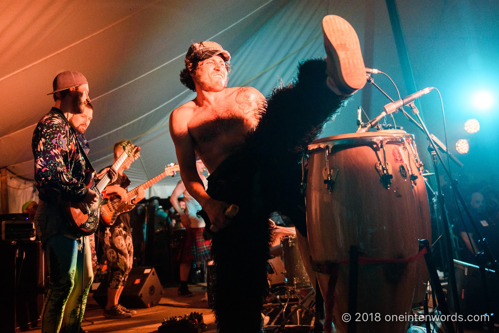 one in ten words Hillside 2018 Day 2 Five Alarm Funk Concert Photos