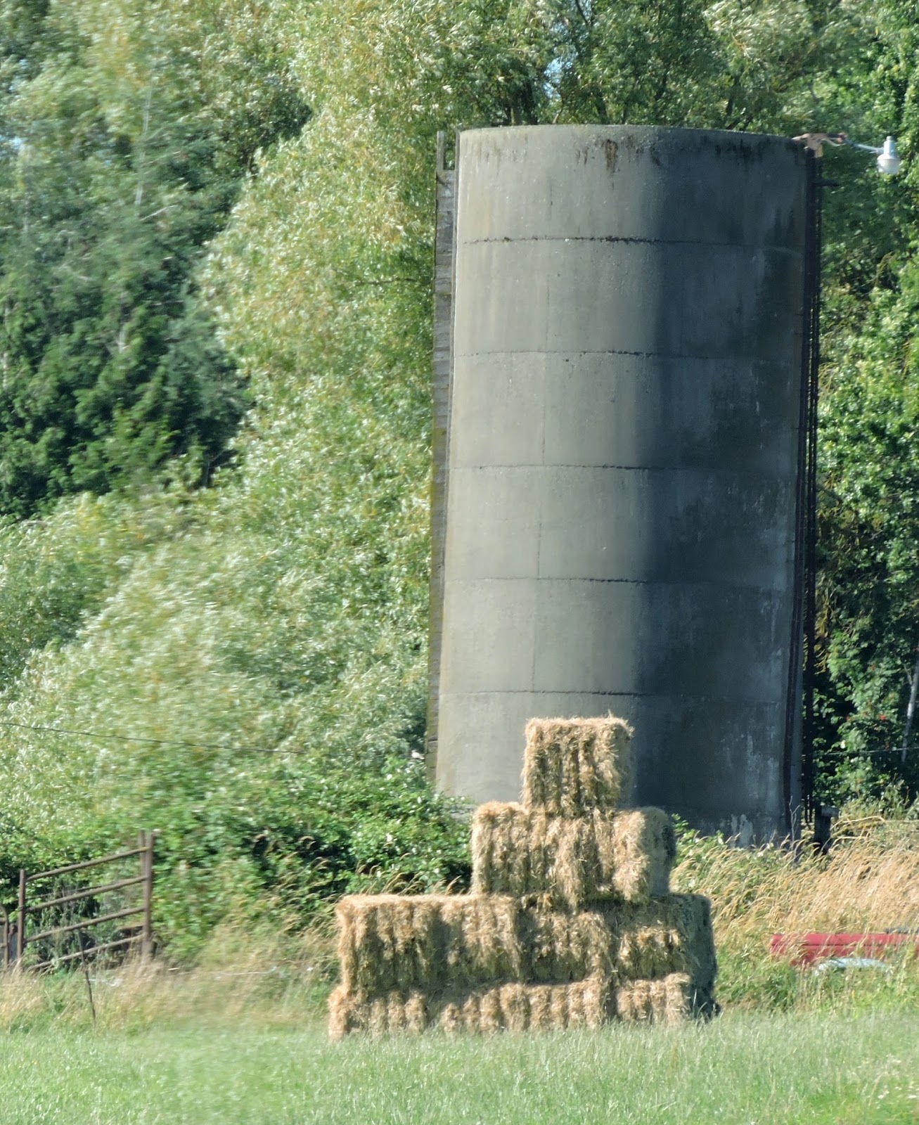 Scene Through My Eyes Silos