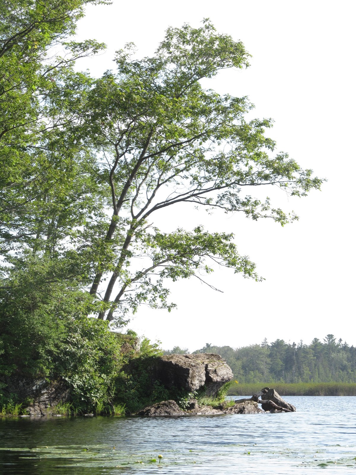 Recreational Kayaking in Maine Great Pond, Cape Elizabeth