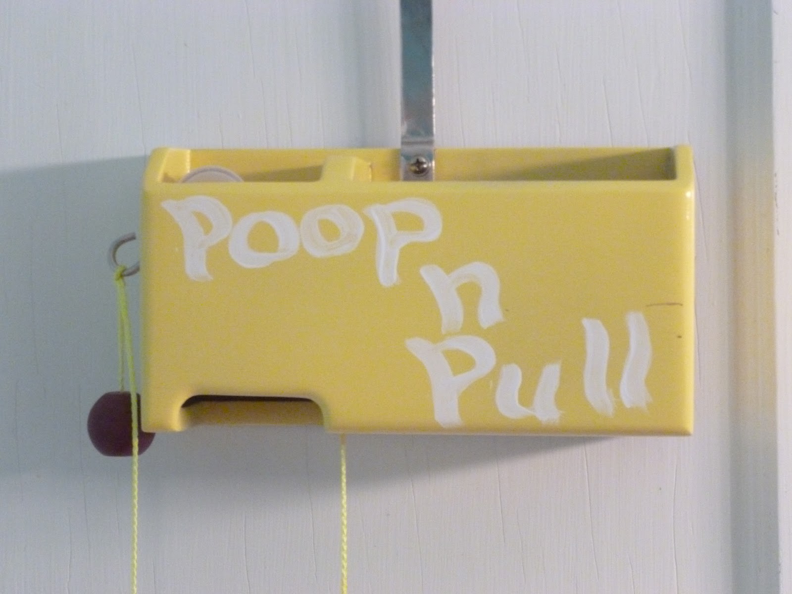 A Day in the Life of a Five Foot Mama Poop 'n Pull Potty Training