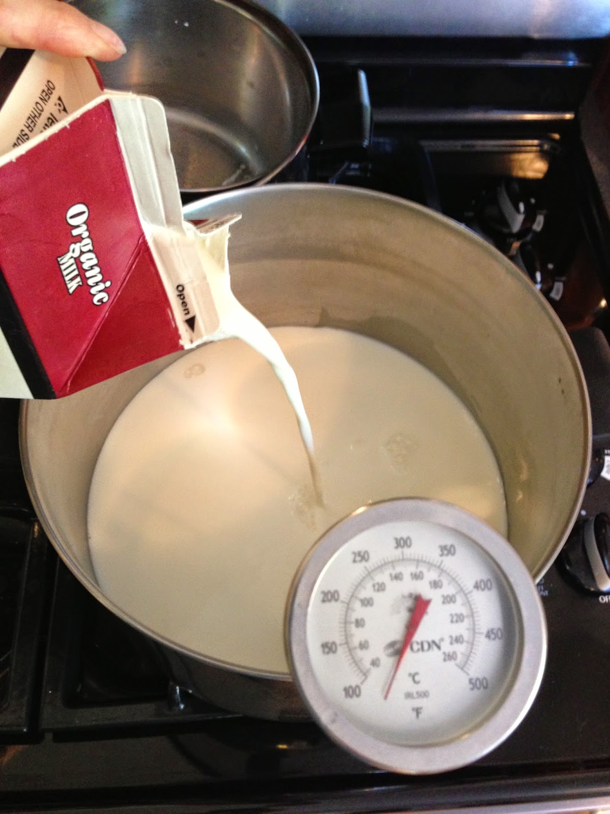 Easy homemade YOGURT How to make delicious yogurt in your oven! Farm