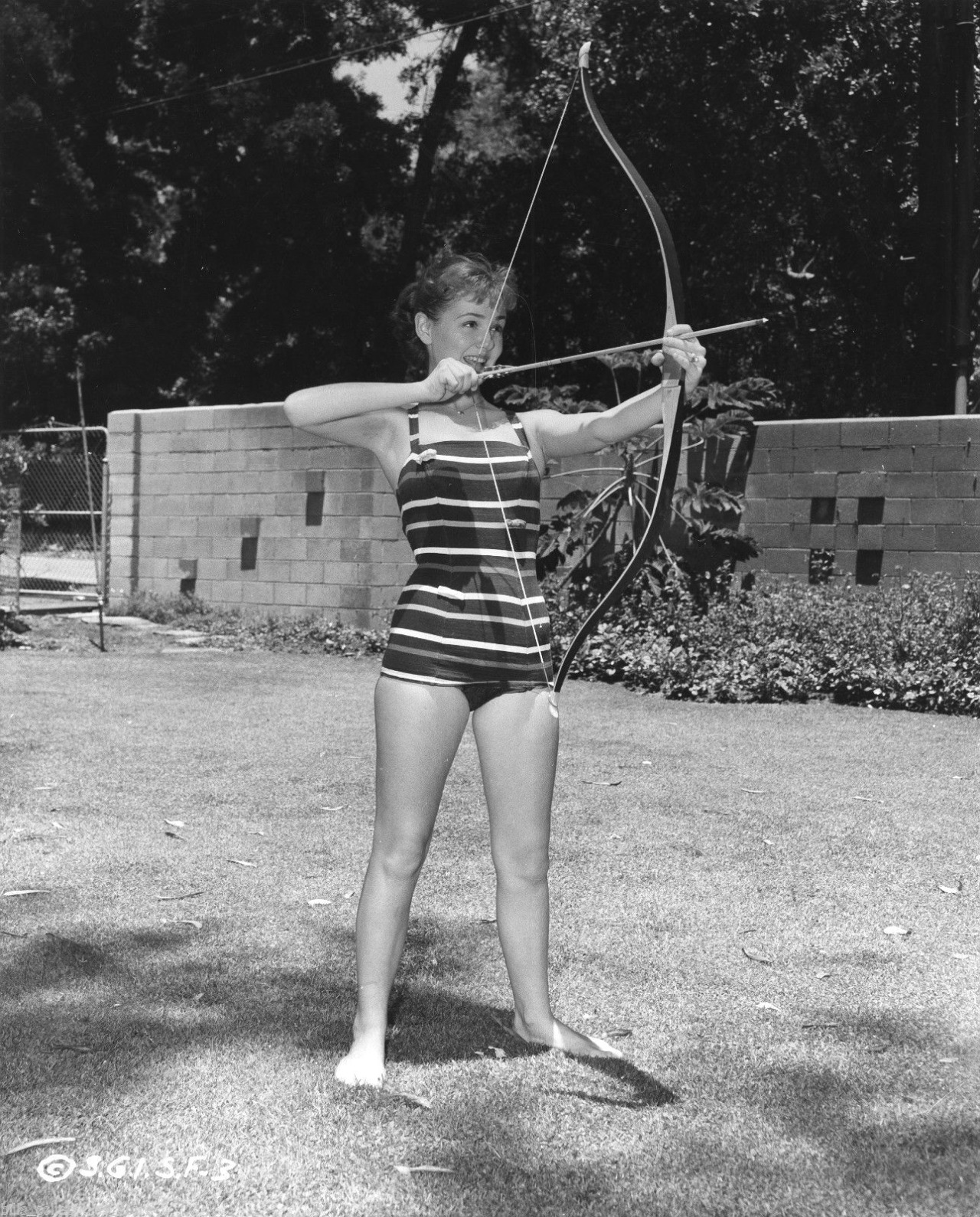 Slice of Cheesecake: Shelley Fabares, pictorial