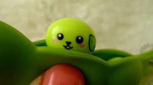 If You Get A Chance To Travel Take It Mameshiba If You Get A Chance To Travel Take It Mameshiba