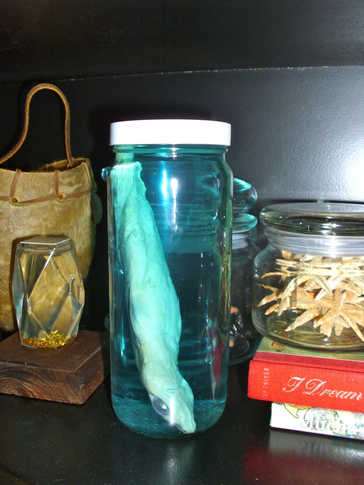 My Life as Jar My Curiosity of Oddities