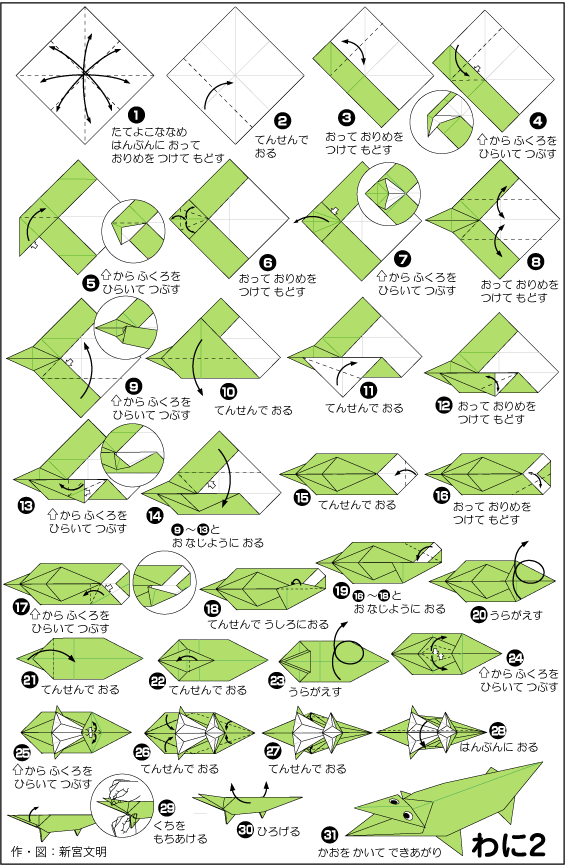 Extremegami How to make a origami alligator
