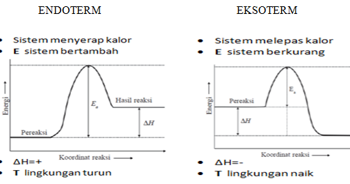 Contoh Laporan Praktikum Reaksi Eksoterm Dan Endoterm - Kumpulan Contoh