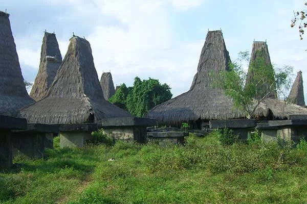 Folklore From East Nusa Tenggara