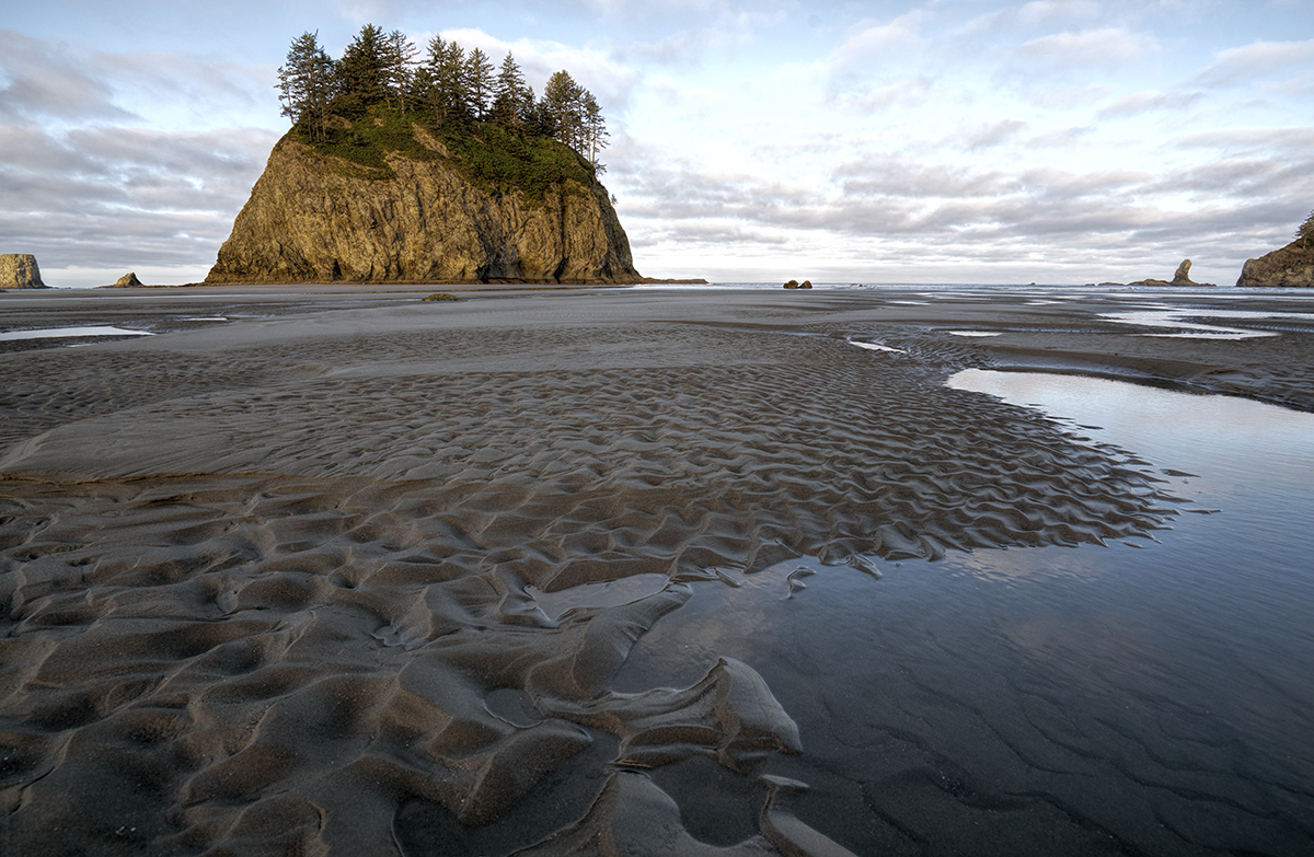 Blair's Photo Diary Second Beach, Forks Washington