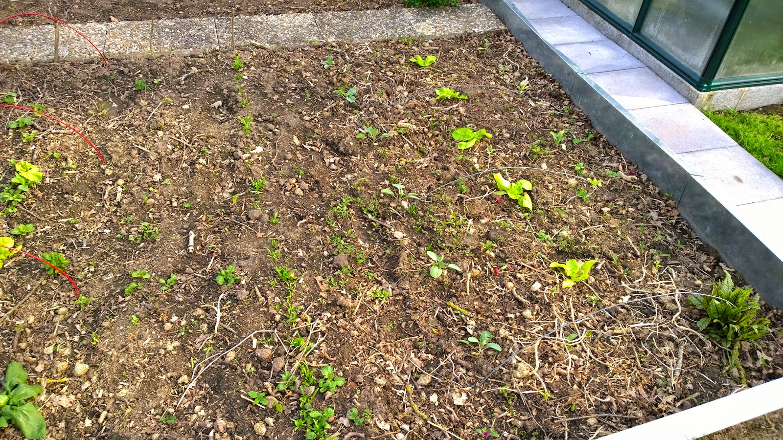 Gunstig Gartnern Schnurren Im Schlosspark