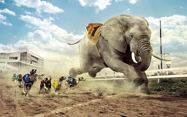 Grappige wallpaper met rennende olifant