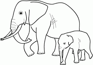 Mewarnai Gajah Marioatha Blog Gambar Induk Anak Sd