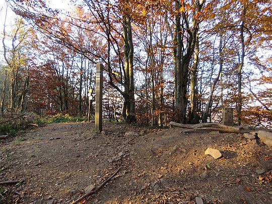 Magura Stuposiańska (1016 m n.p.m.). Magura Stuposiańska (1016 m n.p.m.).