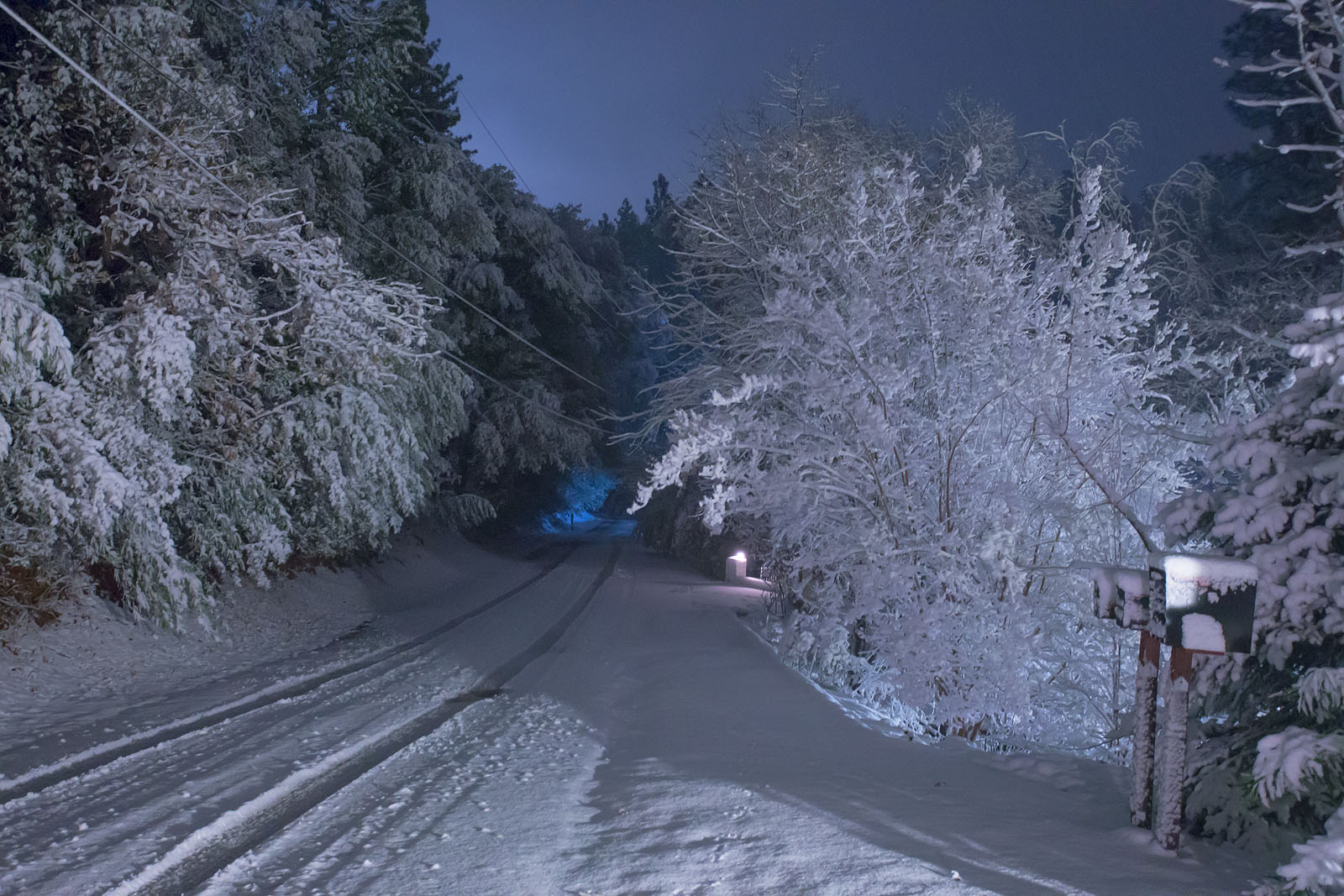Anthony Dunn Photography: Winter on the Feather River