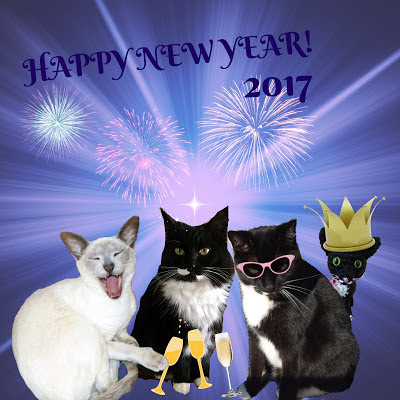 https://cataustin.blogspot.ca/2017/01/happy-new-year-selfie-with-video-and.html