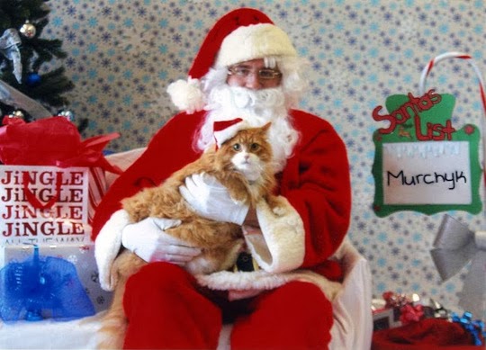 Santa Claus with cat