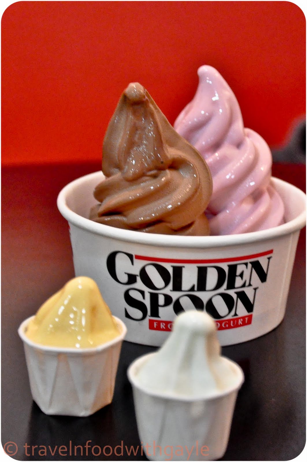 Food, Travel & Photography with Gayle The Golden Spoon Frozen Yogurt