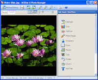 Acdsee pro 8 free. download full version with crack Acdsee pro 8 free. download full version with crack