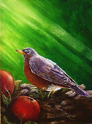 American Robin/ A New Day