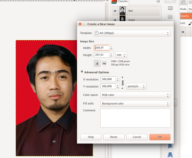 software cetak foto 4x6 software cetak foto 4x6
