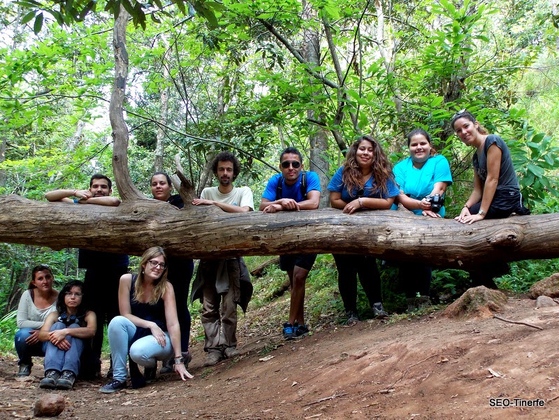 Grupo Local SEO-TINERFE: Colaborando en la conservación de la Paloma ...