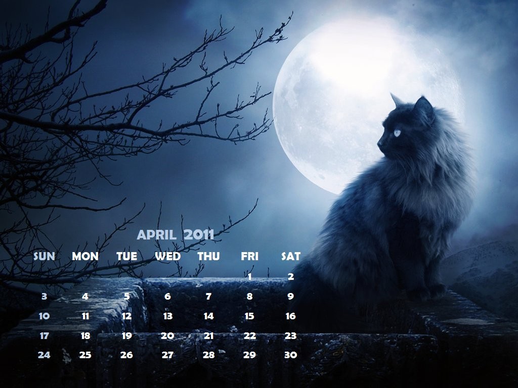 HD Wallpapers and Backgrounds of animals and pets: Foxes, Horses, Tiger, Dogs, Cats, Squirrels, Rabits and Others
