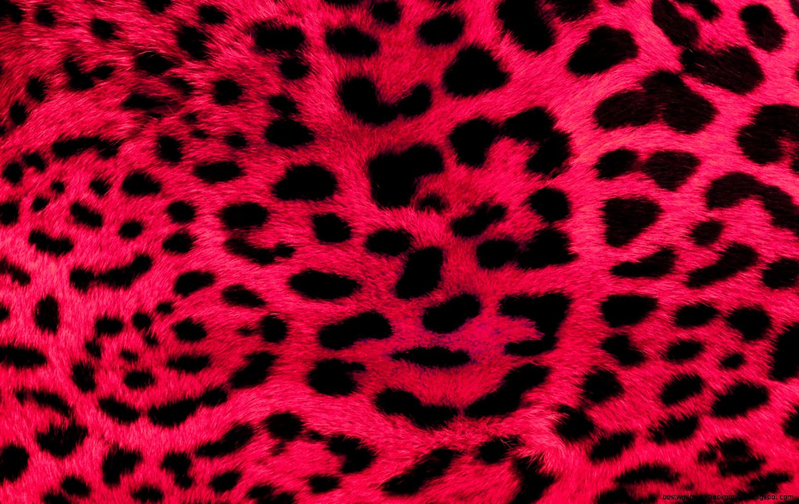 Leopard Pink Cheetah Print Background