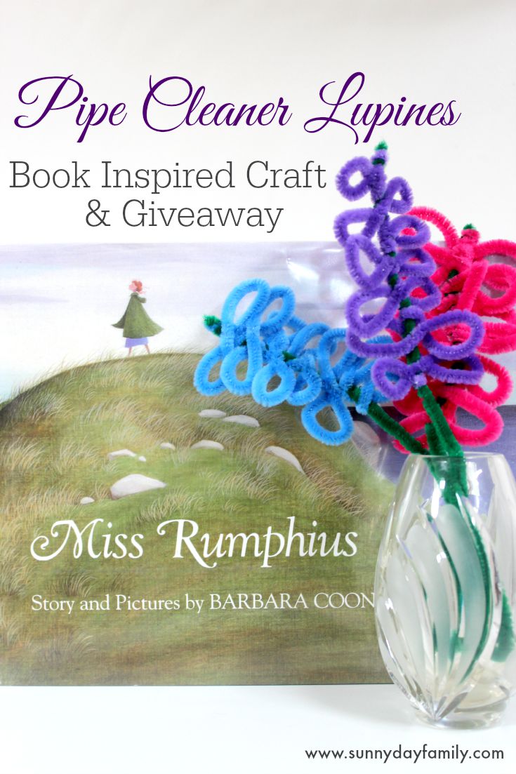 Easy pipe cleaner flower craft inspired by the children's book Miss Rumphius! 