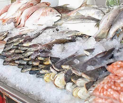 COMO INICIAR SU NEGOCIO DE VENTA DE MARISCOS COMO INICIAR SU NEGOCIO DE VENTA DE MARISCOS