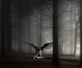 Download Android Tablet Wallpapers for Free - Mobile Wallpapers