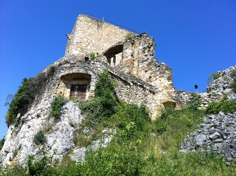 Wanderschwarz: Wanderung Landskron