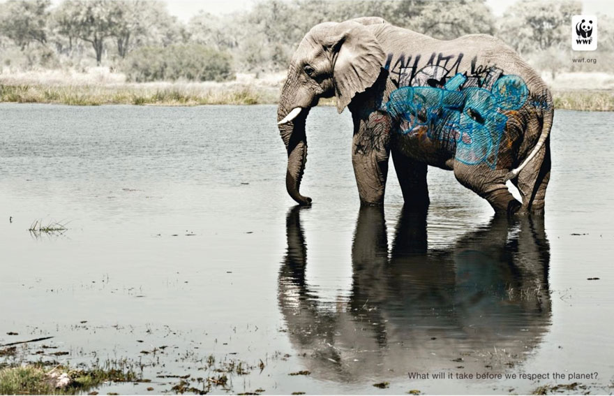 WWF: What Will It Take Before We Respect The Planet?