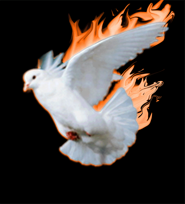 IGREJA DO EVANGELHO QUADRANGULAR Diácono Sonhador FOGO SANTO