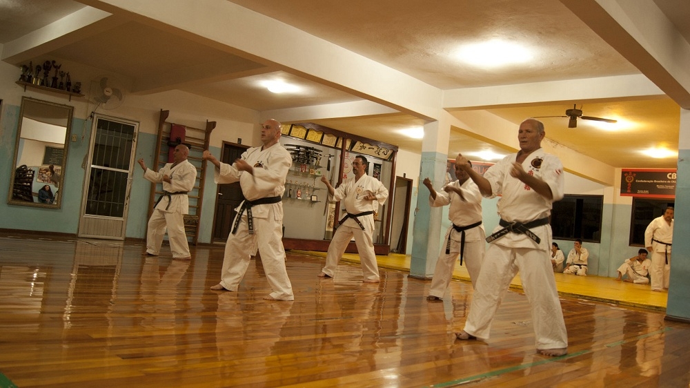 Livre Rare En Japonais : Guide Technique De Karaté Do Gojuru D'Okinawa - Édition Collector Pour Passionnés