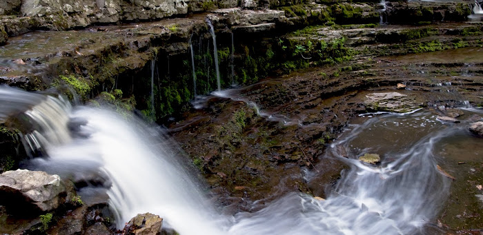 Bridal Veil