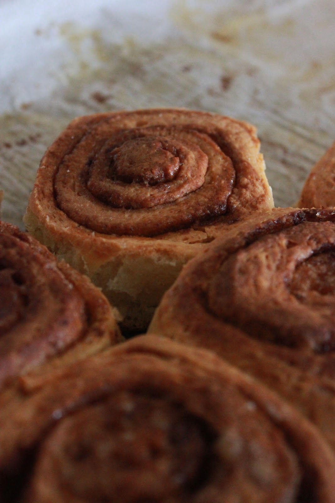 SquirrelsnSweets America's Test Kitchen Cinnamon Buns